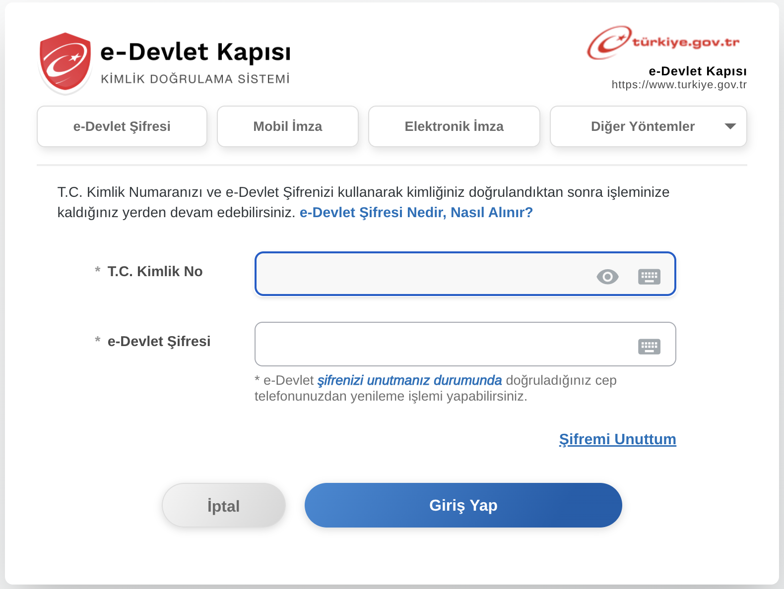 E-Devlet giriş